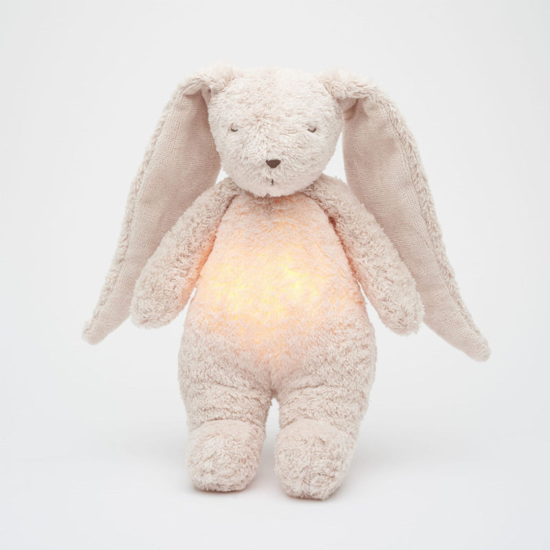 Organic Humming Bunny with A Lamp