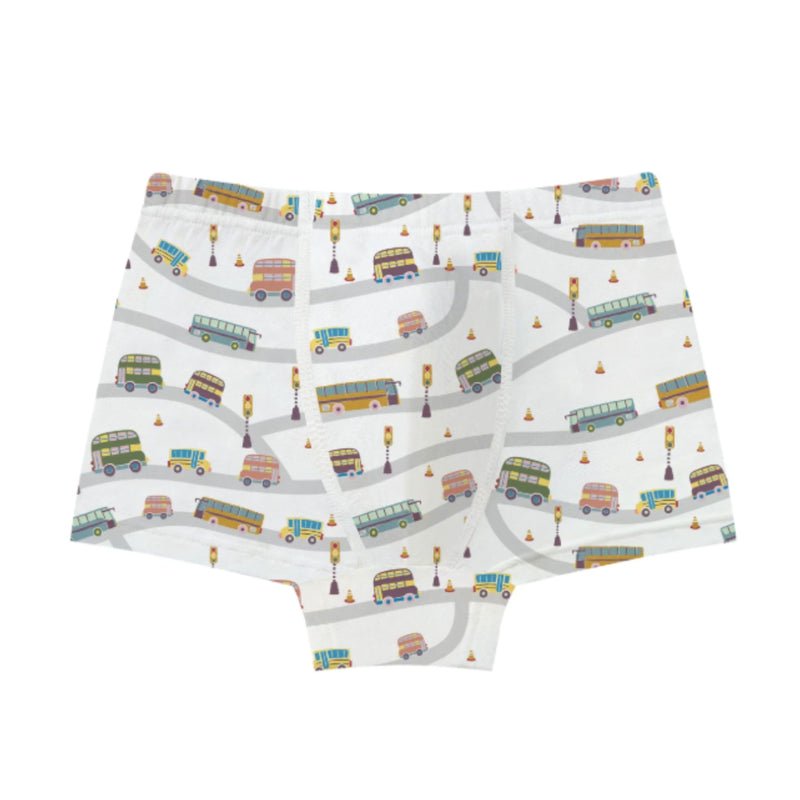 Bamboo Boy Boxer Underwear (4pack)