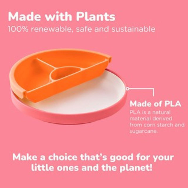 Omie Easy Scoop Plate + Divider Set