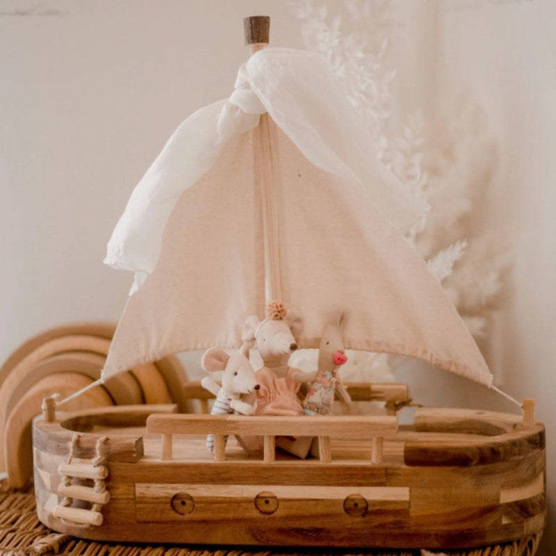 Adventure Ship
