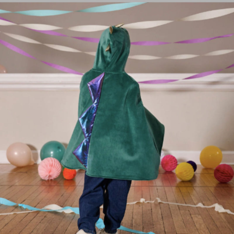 Dinosaur Dress Up Velvet Cape