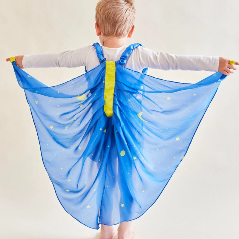 Silk Fairy Wings