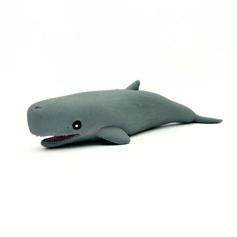 Stretchy Sand Sea Life