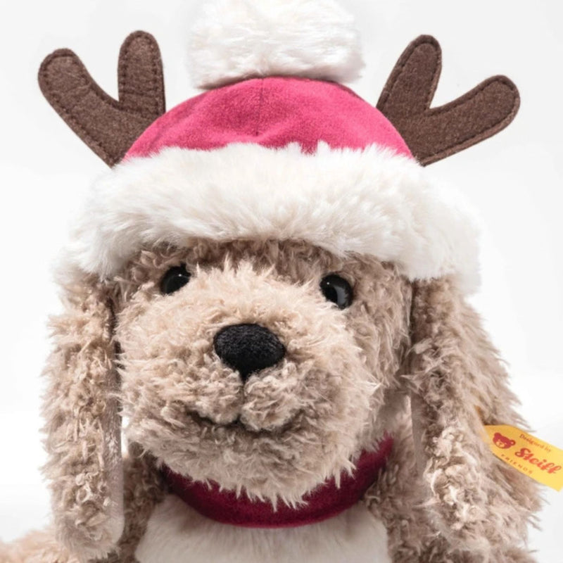 Rudy The Christmas Dog