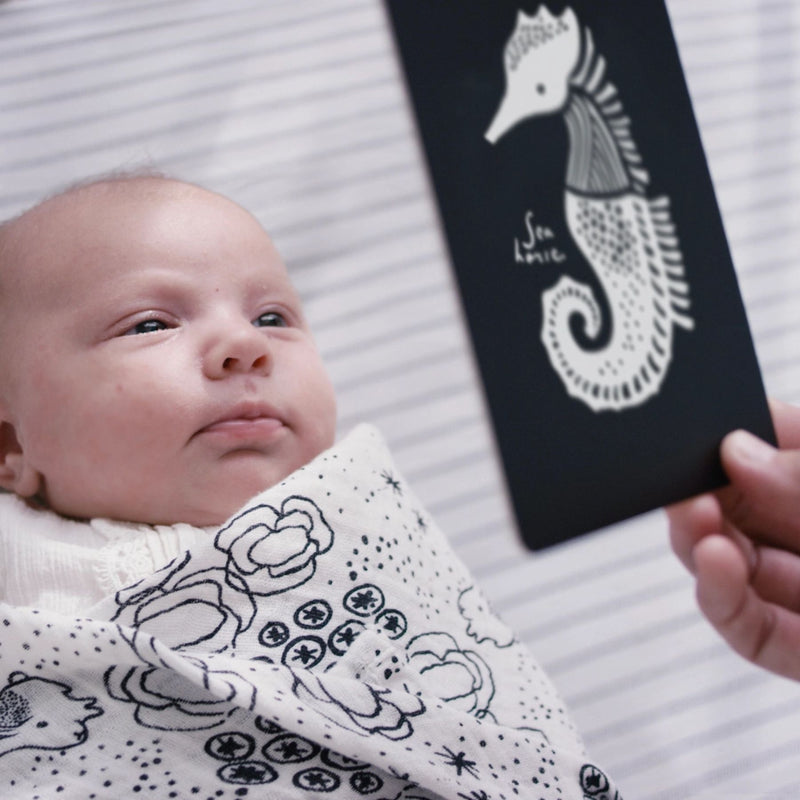 Art Cards for Baby