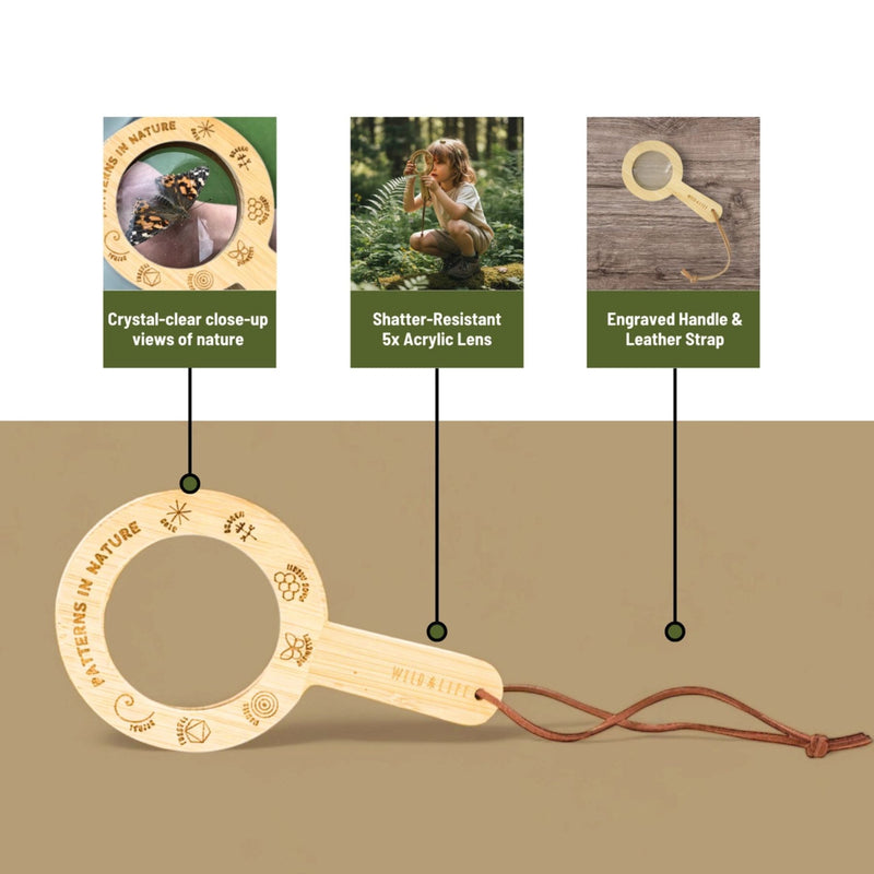 Eco Bamboo 5x Magnifying Glass