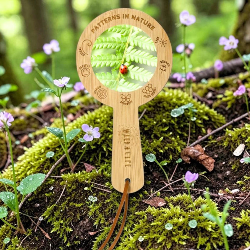 Eco Bamboo 5x Magnifying Glass