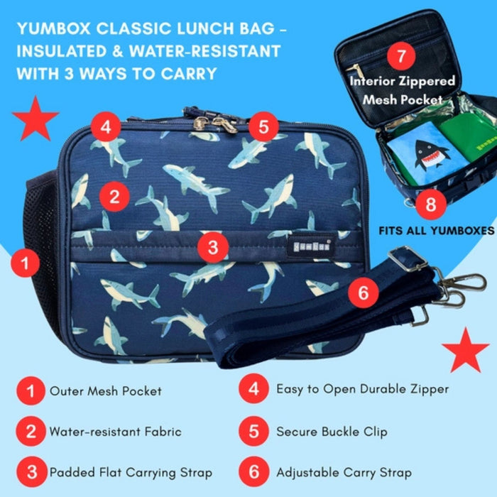 3-Way Insulated Carry Bag