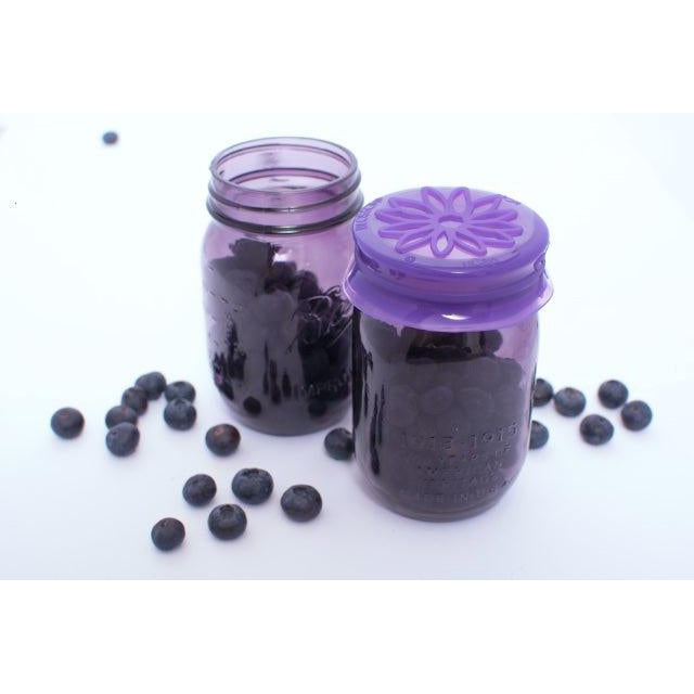 Blossom uCap - Mason and Canning Jar Cap, Purple-Simply Green Baby