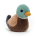 Jellycat Birding Mallard-Simply Green Baby